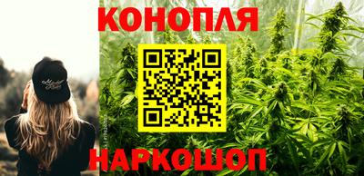 прущие грибы Гусиноозёрск