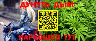 прущие грибы Гусиноозёрск