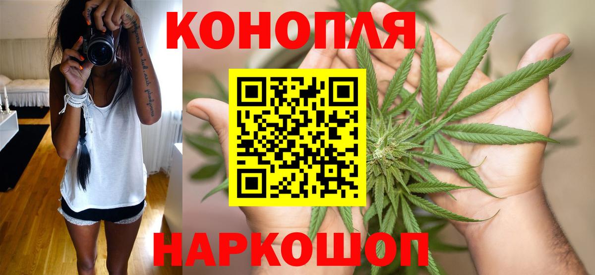 Бошки Шишки гибрид Красноярск